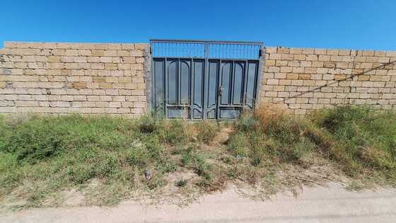 Torpaq Nardaran q., Bakı