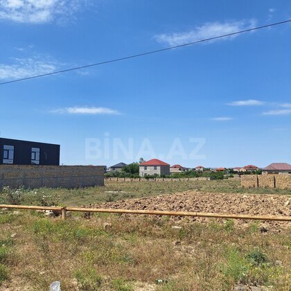 Torpaq Novxanı q., Bakı