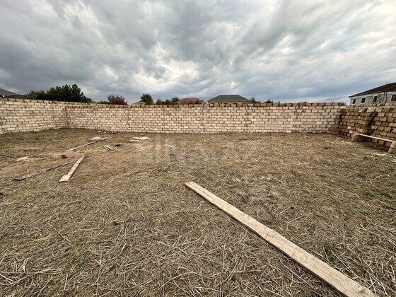 Torpaq Novxanı q., Bakı