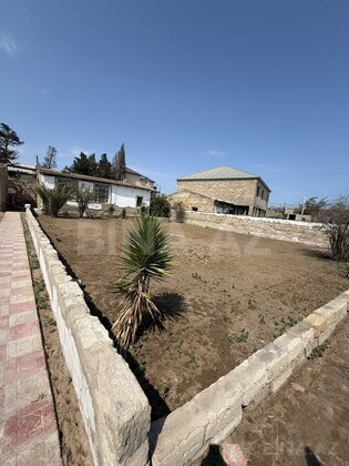 Torpaq Buzovna q., Bakı