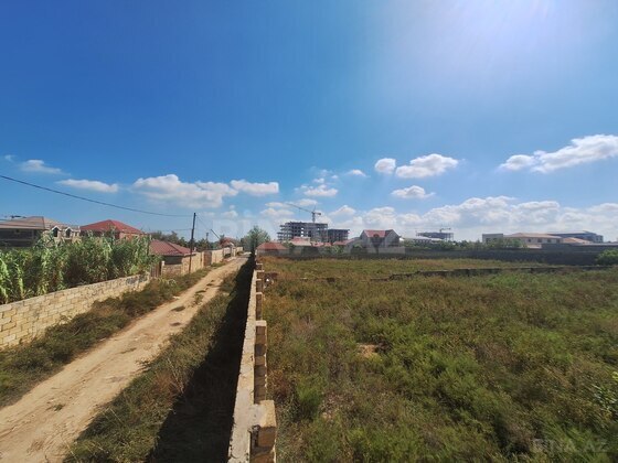 Torpaq Nardaran q., Bakı