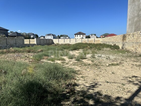 Torpaq Novxanı q., Bakı