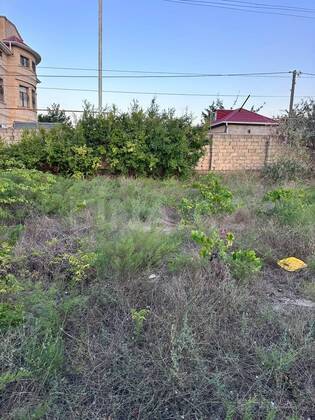 Torpaq Novxanı q., Bakı