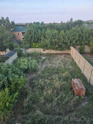Torpaq Nardaran q., Bakı
