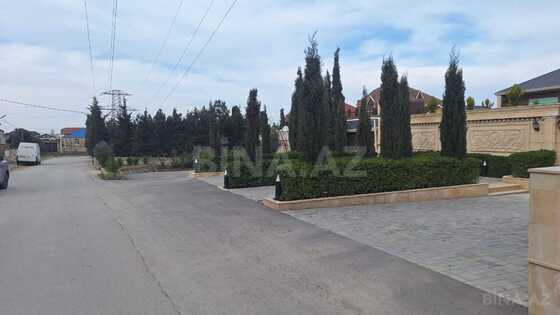 Torpaq Buzovna q., Bakı