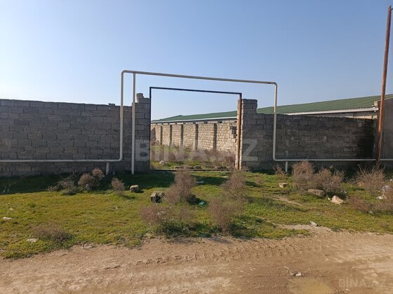 Torpaq Buzovna q., Bakı