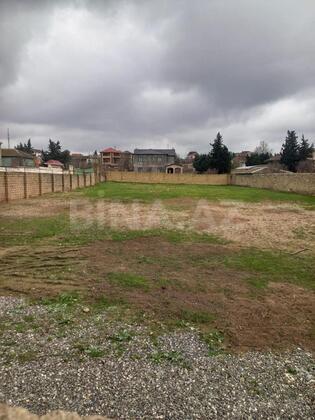 Torpaq Novxanı q., Bakı