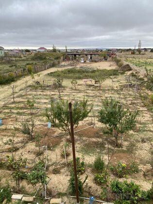 Torpaq Nardaran q., Bakı