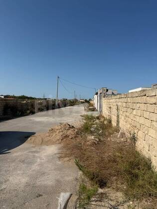 Torpaq Şüvəlan q., Bakı