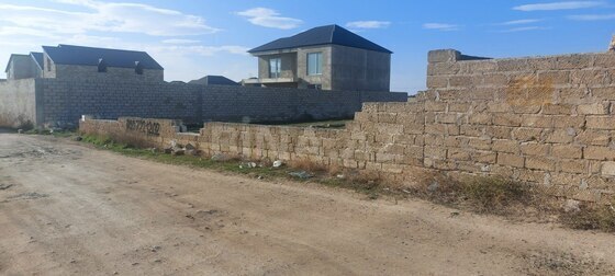 Torpaq Buzovna q., Bakı