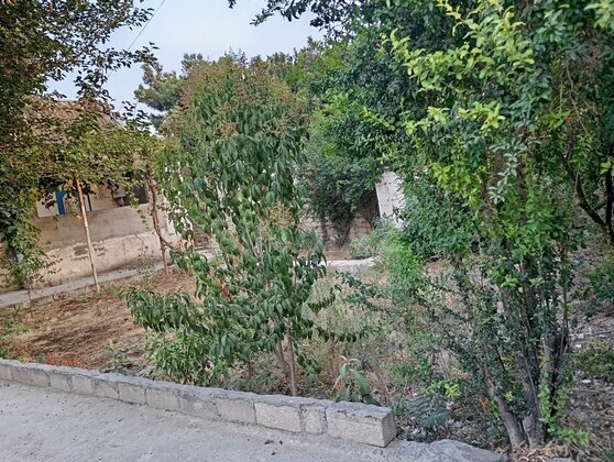 Torpaq Qala q., Bakı