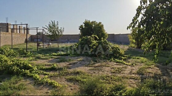 Torpaq Nardaran q., Bakı