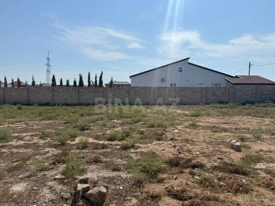 Torpaq Şüvəlan q., Bakı