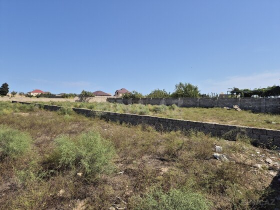 Torpaq Qala q., Bakı