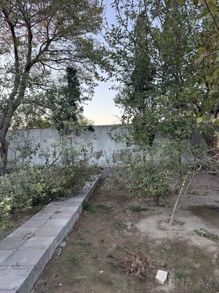 Torpaq Novxanı q., Bakı