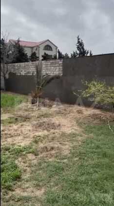 Torpaq Şüvəlan q., Bakı