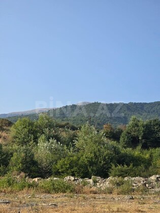 Torpaq İsmayıllı