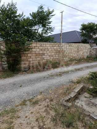 Torpaq Pirşağı q., Bakı