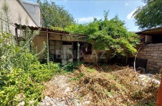Torpaq Biləcəri q., Bakı