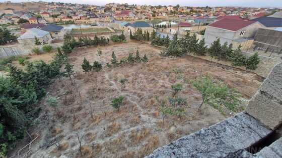 Torpaq Mehdiabad q., Bakı