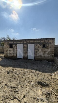 Torpaq Novxanı q., Bakı