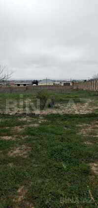 Torpaq Nardaran q., Bakı