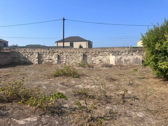 Torpaq Novxanı q., Bakı