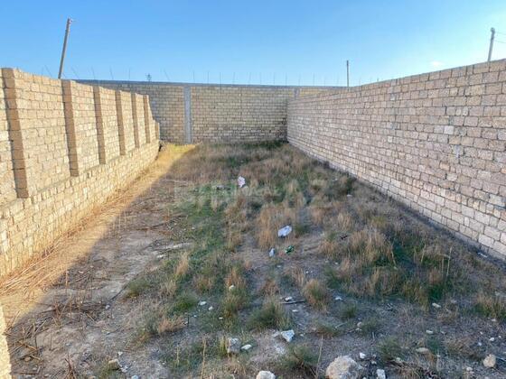 Torpaq Şağan q., Bakı