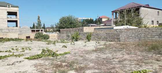 Torpaq Novxanı q., Bakı