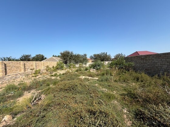 Torpaq Nardaran q., Bakı