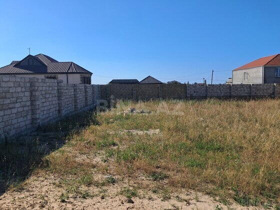 Torpaq Nardaran q., Bakı