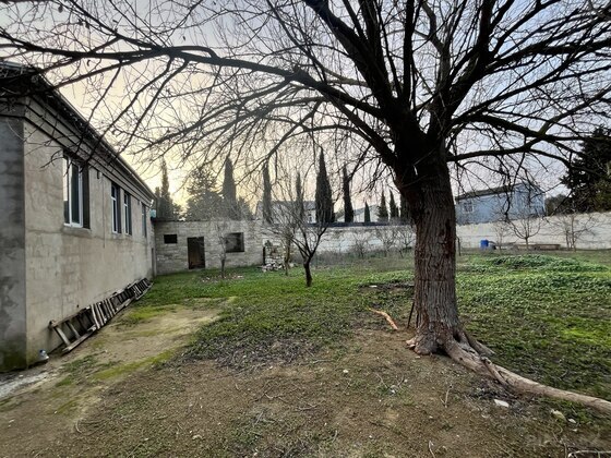3 otaqlı Həyət evi/Bağ evi, Albalılıq q., Bakı