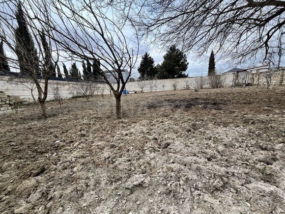 3 otaqlı Həyət evi/Bağ evi, Albalılıq q., Bakı
