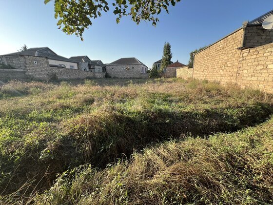 Torpaq Buzovna q., Bakı