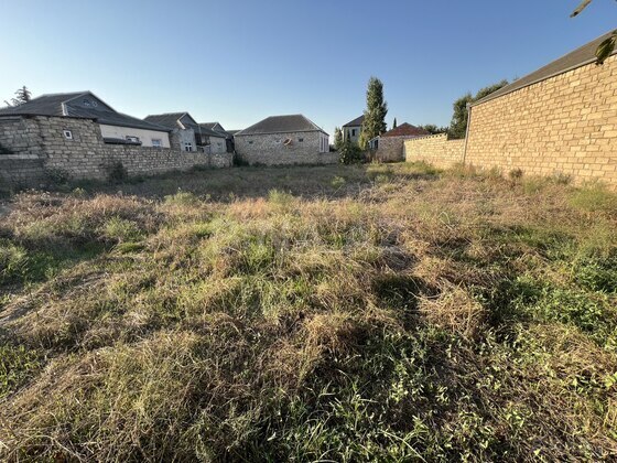 Torpaq Buzovna q., Bakı