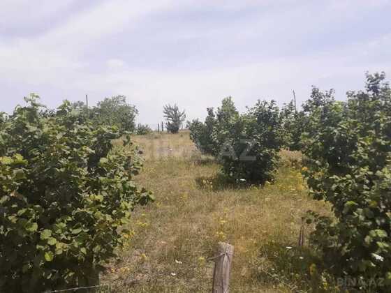 12.0 m²