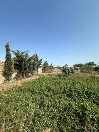 Torpaq Suraxanı r., Bakı