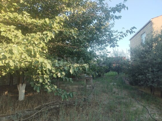 Torpaq Pirşağı q., Bakı