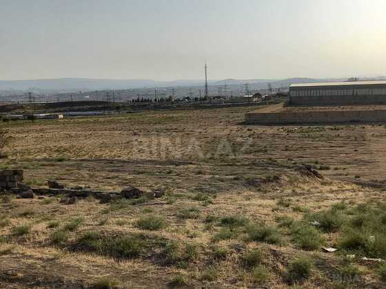 Torpaq Məmmədli q., Bakı