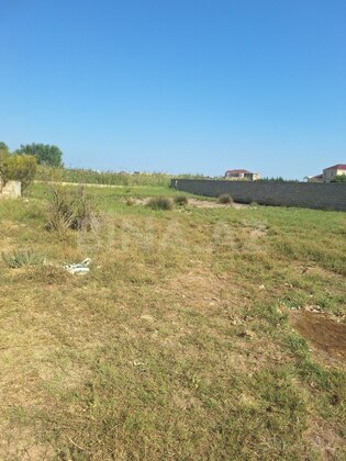 Torpaq Nardaran q., Bakı