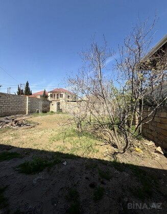 Torpaq Masazır q., Bakı
