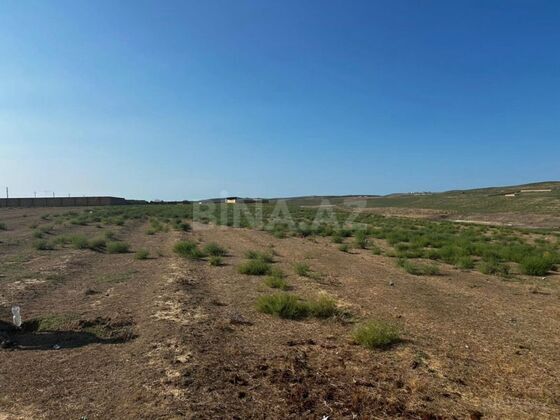 Torpaq Mehdiabad q., Bakı