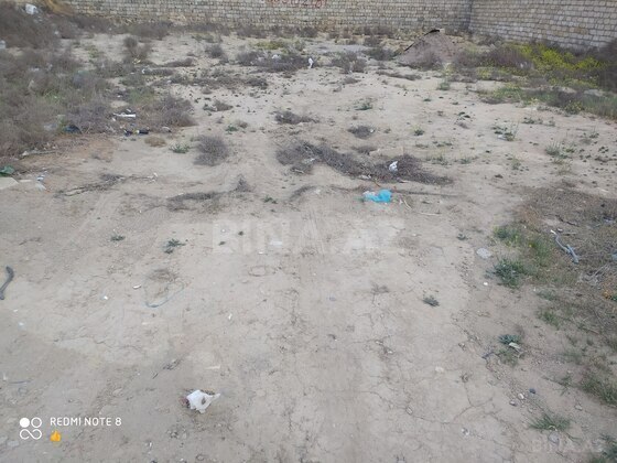 11.5 m², Badamdar