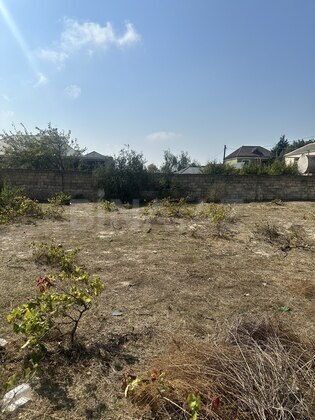 Torpaq Novxanı q., Bakı