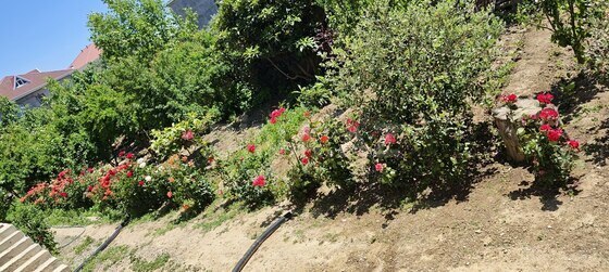 14 otaqlı Həyət evi/Bağ evi, Mehdiabad q., Bakı
