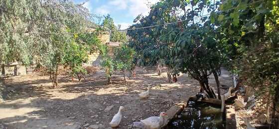 4 otaqlı Həyət evi/Bağ evi, Biləcəri q., Bakı