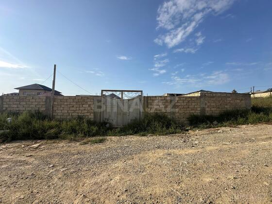 Torpaq Novxanı q., Bakı