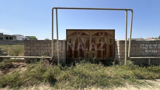Torpaq Nardaran q., Bakı