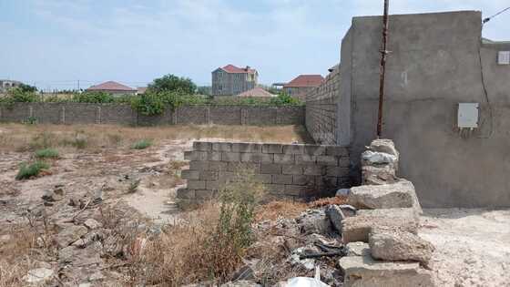 Torpaq Türkan q., Bakı
