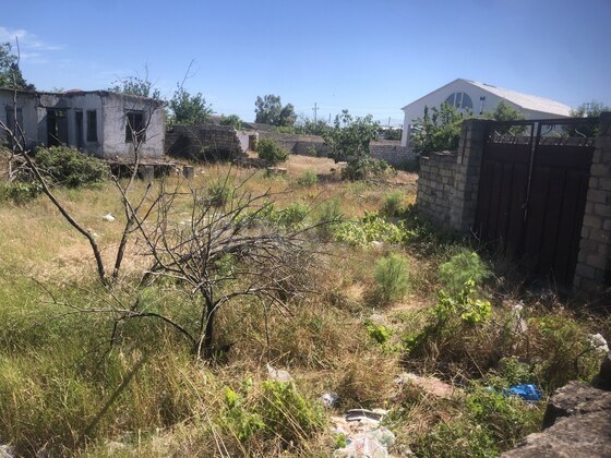 Torpaq Nardaran q., Bakı